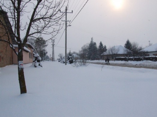 picture-083