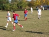 picture-012