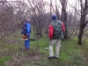 picture-037
