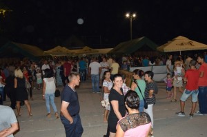 280815_s (26)