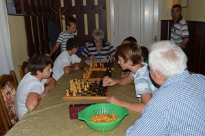 Шаховски турнир поводом прославе дана села; Липар 29.08.2015. год.